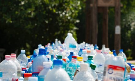 How to boost your plastic-free efforts in 2020