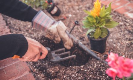 What can you do to reduce pollution in your garden?