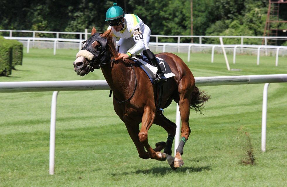 FASHION TO THE FORE AT CATTERICK JUMPS FINALE