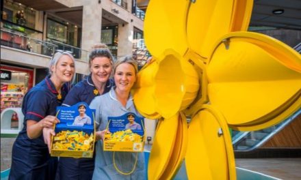 Manchester shoppers to share memories of loved ones on Marie Curie’s ‘Great Big Daffodil’