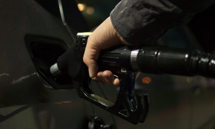 What Is Fuelling the Exponential Growth of Compact SUV Sales?