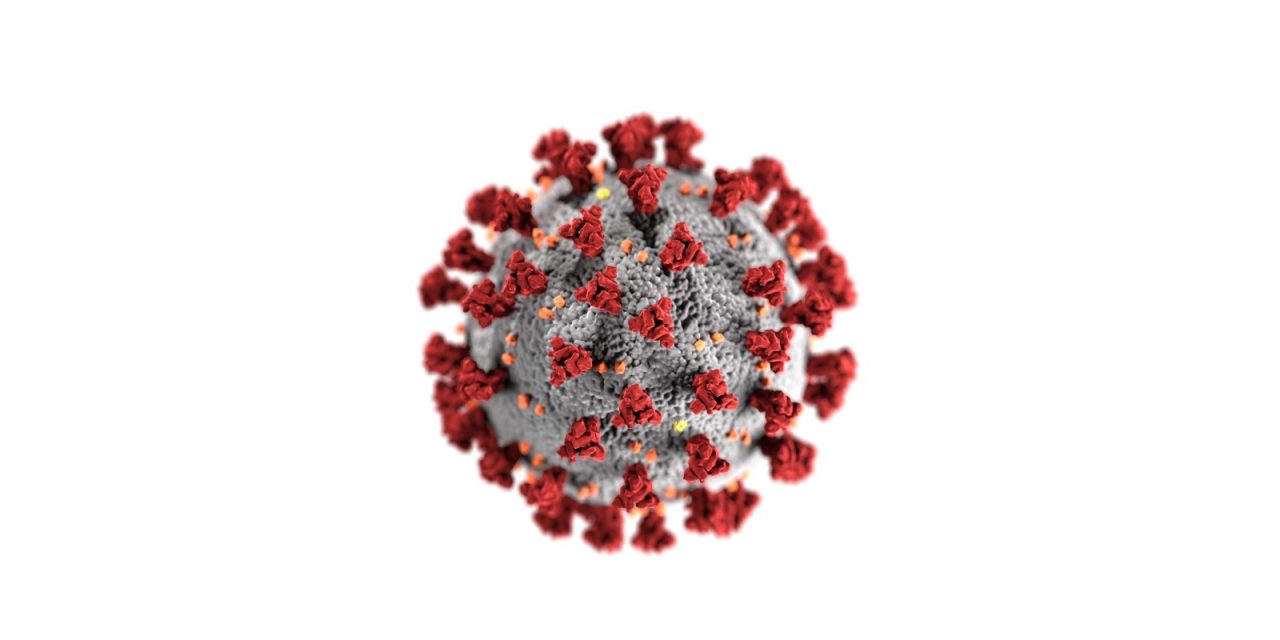 New Coronavirus COVID-19 Online Patient to Patient Support Group Launched