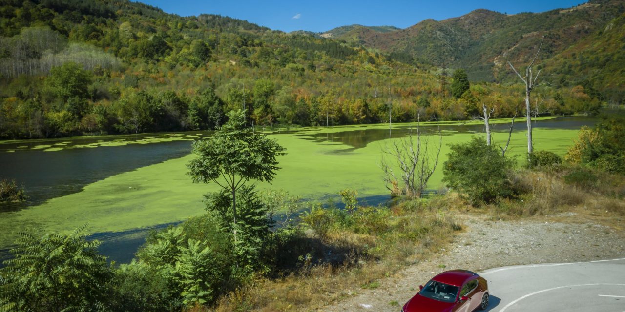MAZDA BACKS CARBON-NEUTRAL BIOFUEL RESEARCH