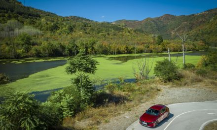 MAZDA BACKS CARBON-NEUTRAL BIOFUEL RESEARCH