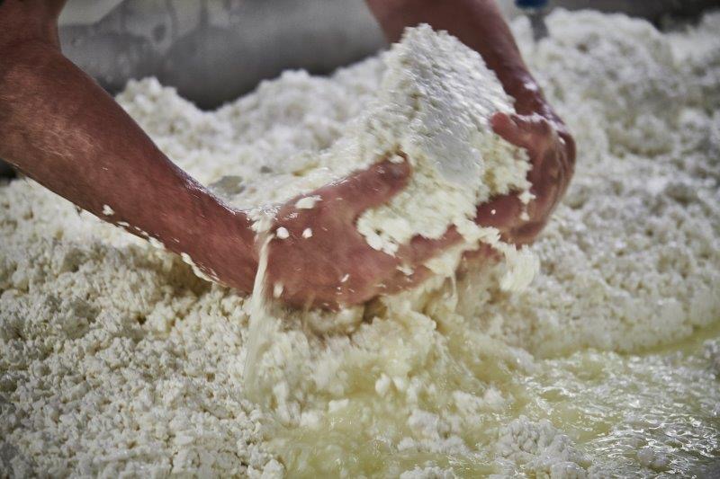 Singletons & Co. teams up with local milkman