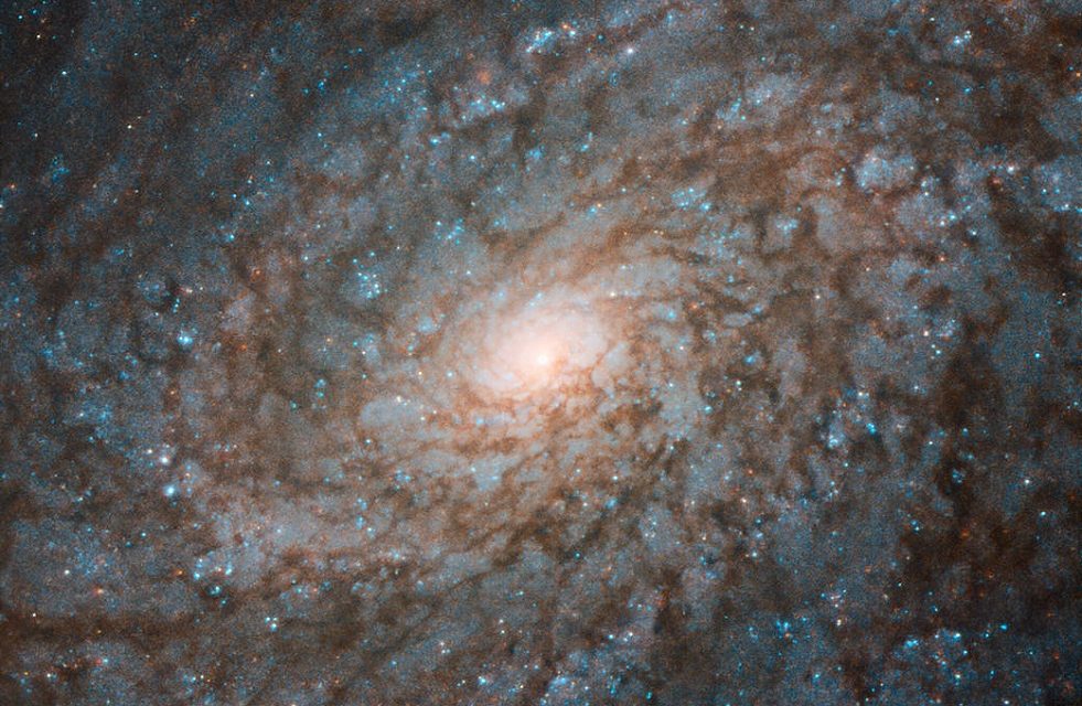 Hubble Gazes at Fluffy-Looking Galaxy