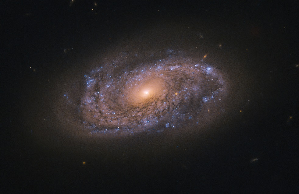 Hubble Probes Colorful Galaxy