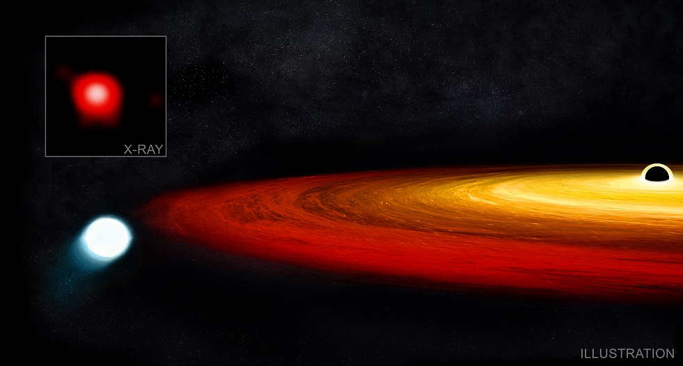 Star Survives Close Call with a Black Hole