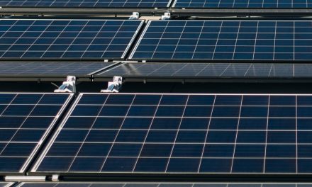 Amazon Announces $2 Billion Climate Pledge Fund to Invest in Companies Building Products, Services, and Technologies to Decarbonize the Economy and Protect the Planet