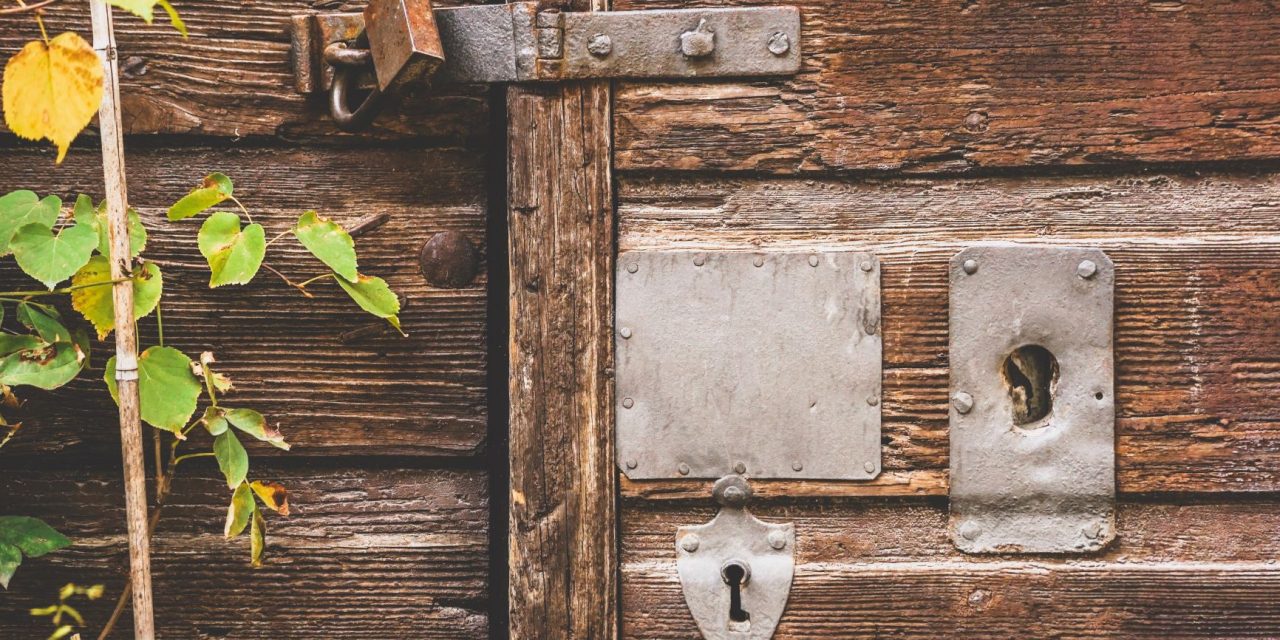 Garden guarding: how to keep your garden safe this summer