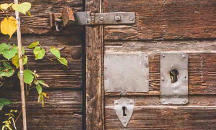 Garden guarding: how to keep your garden safe this summer
