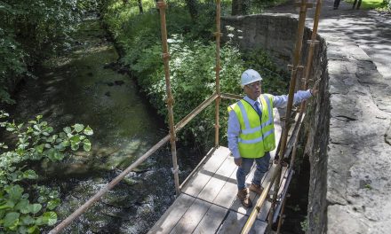 The Momentum Group appointed to deliver works for Scouts