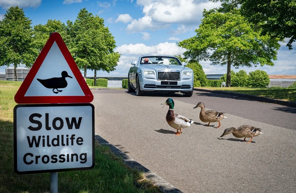 BIRDS, BEES, ROSES AND TREES ALL THRIVING AT THE HOME OF ROLLS-ROYCE
