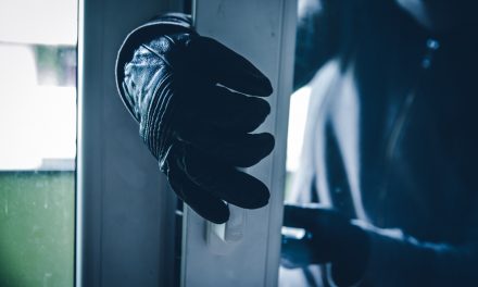 Burglaries fall by almost a quarter in 12 months