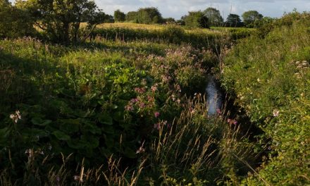PROSPECT HOMES ACQUIRES LEIGH LAND