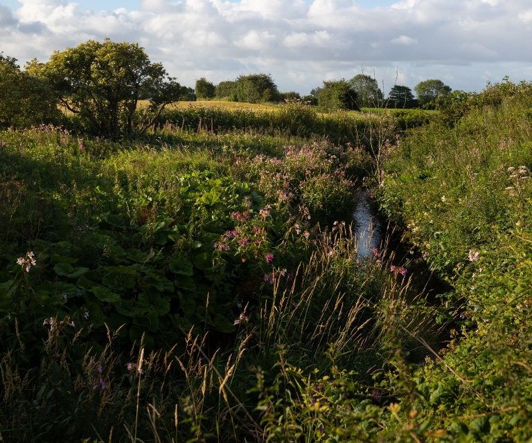 PROSPECT HOMES ACQUIRES LEIGH LAND