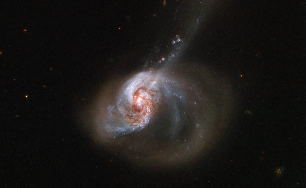 Hubble Catches a Ring of Stellar Wildfire