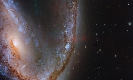 Hubble Hooks a Supernova Host Galaxy
