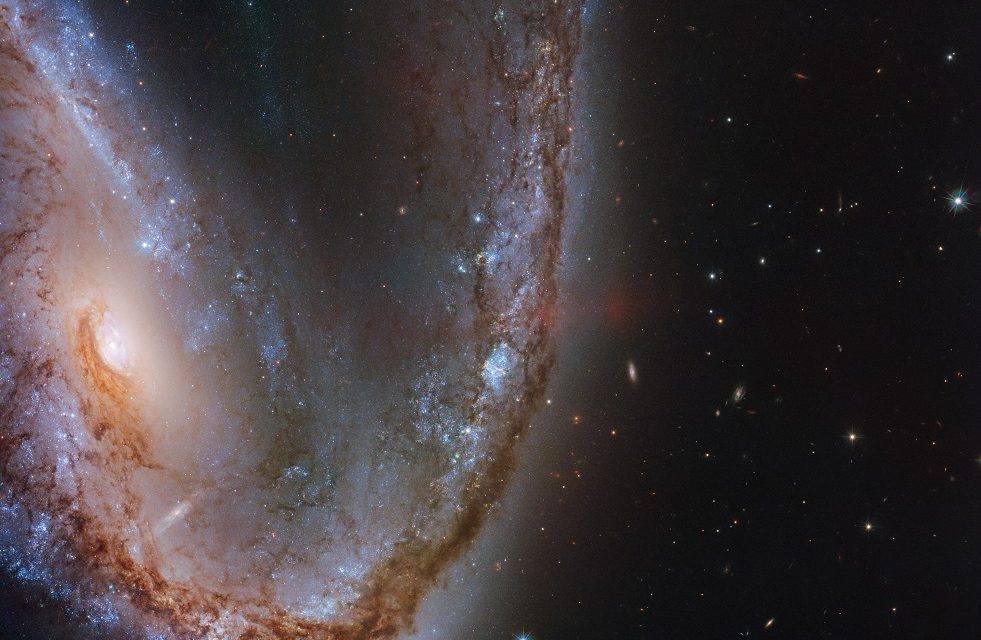 Hubble Hooks a Supernova Host Galaxy