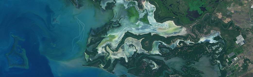 NASA Study Maps the Roots of Global Mangrove Loss