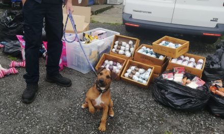 Food donations to RSPCA branch in Accrington help hungry pets