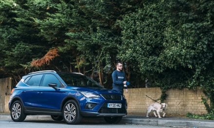 DRIVERS FAVOUR THEIR DOGS JUST AS MUCH AS THEIR CHILDREN WHEN IT COMES TO LETTING THEM SIT UP FRONT