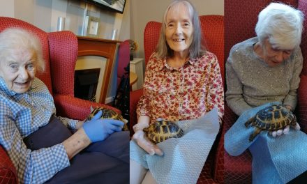 Boris and Doris the tortoises at Runcorn care home