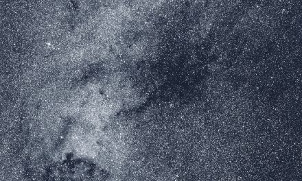 NASA’s TESS Creates a Cosmic Vista of the Northern Sky