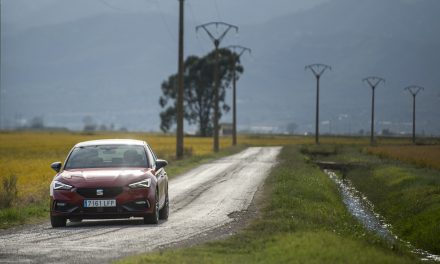 SEAT USING RECYCLED RICE HUSKS TO REDUCE PLASTICS IN NEW LEON