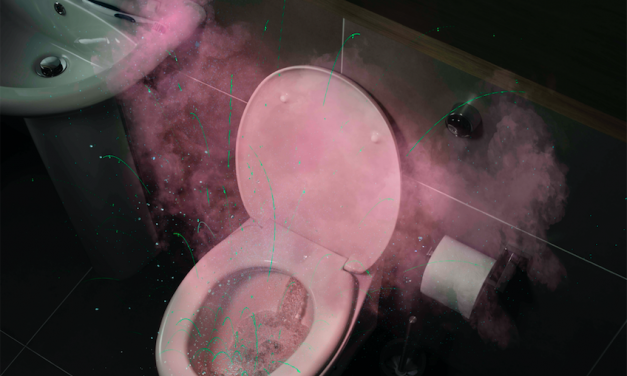 Millions of people are spreading harmful viruses and bacteria by leaving the lid open when flushing