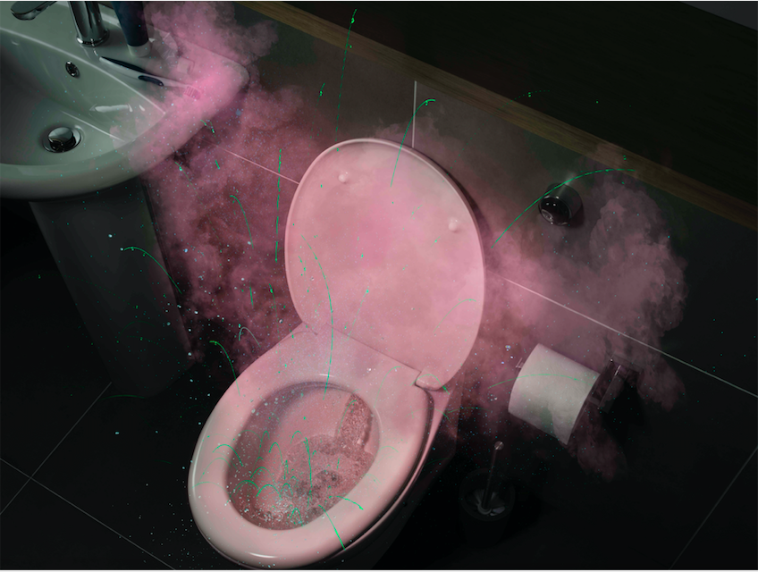 Millions of people are spreading harmful viruses and bacteria by leaving the lid open when flushing