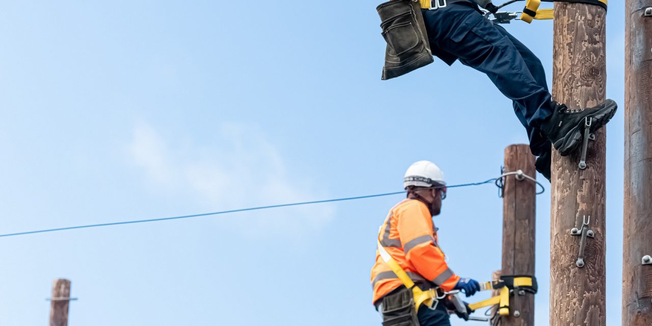 Openreach builds back better with 255 new North West jobs alongside electric vehicle upgrade