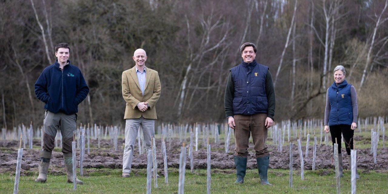 Tatton Estate part of pilot scheme to plant 13,000 trees