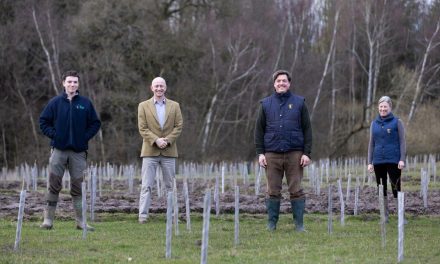 Tatton Estate part of pilot scheme to plant 13,000 trees