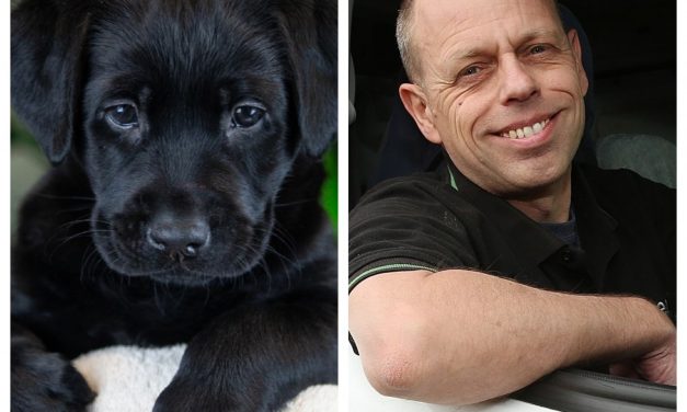 Bolton businessman sponsors Guide Dog pup Selsey through her training