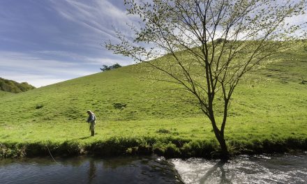 10 Great Reasons to Visit The Peak District