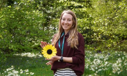 ST JOHN’S HOSPICE TO LAUNCH SUNFLOWER ART DISPLAYS IN LOCAL LOCATIONS