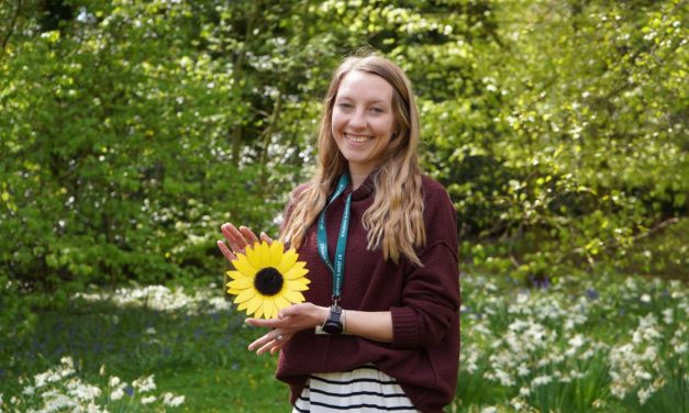 ST JOHN’S HOSPICE TO LAUNCH SUNFLOWER ART DISPLAYS IN LOCAL LOCATIONS