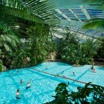 Seaton Estate Holiday Park 