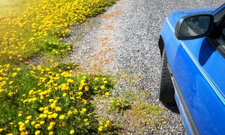 North West hay fever sufferers could see red with penalty points warning