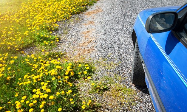 North West hay fever sufferers could see red with penalty points warning