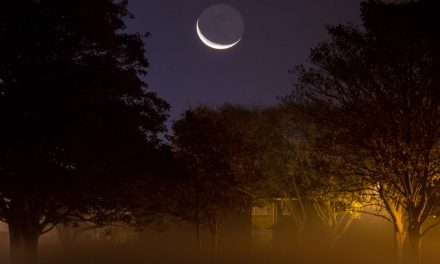 Be ready for the Solar Eclipse and other Astro events this summer! Astro-photographer offers top tips for scintillating shots!