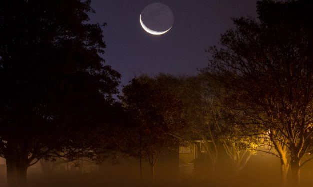 Be ready for the Solar Eclipse and other Astro events this summer! Astro-photographer offers top tips for scintillating shots!