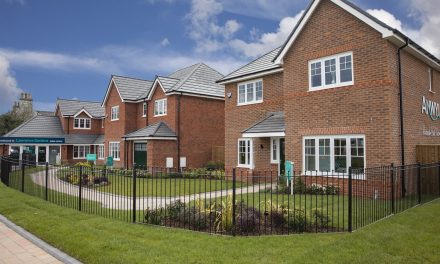 ANWYL OFFER FAMILY FUN FINDING A NEW HOME NEAR PRESTON