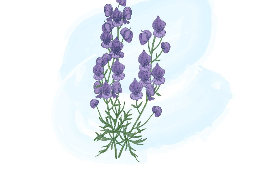 Deadly flowers you’ll find in your garden and how to remove them