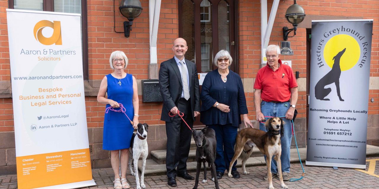 Trust steps in to save Greyhound rescue centre