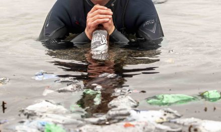 Kingsland Drinks and The Hidden Sea continue ocean clean up mission during Plastic Free July