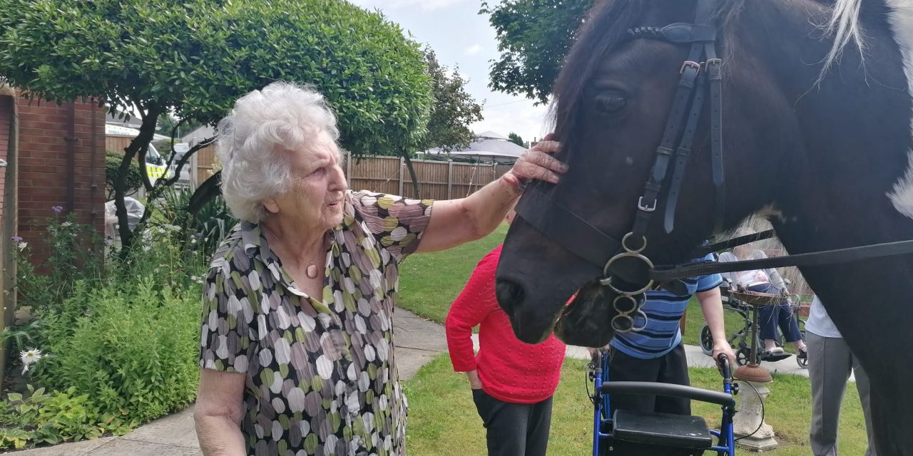 CARE HOME RESIDENTS GET A VISIT FROM THEIR ‘NEIGH-BOUR’