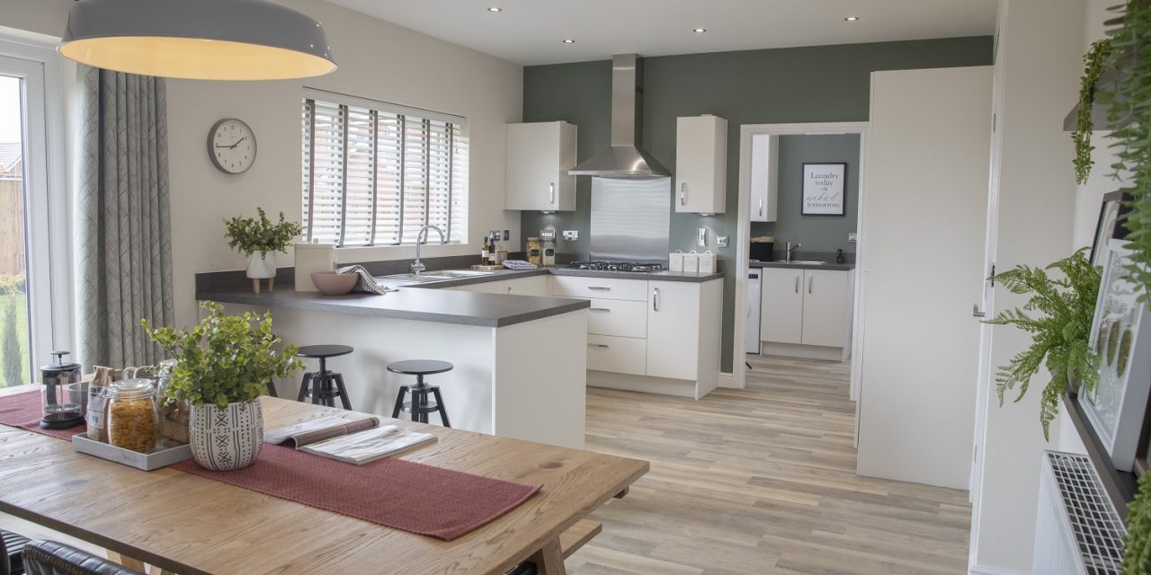 WRAP UP A SIMPLE MOVE TO A NEW HOME FOR CHRISTMAS
