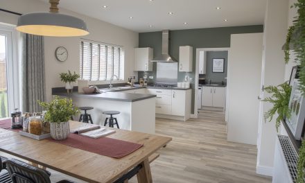 WRAP UP A SIMPLE MOVE TO A NEW HOME FOR CHRISTMAS